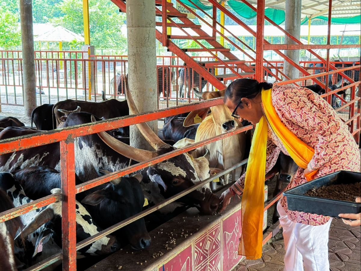 Dinesh Shahra Foundation Supports Gau Swarga’s Mission to Preserve Indigenous Cows, Participates in Gau Seva