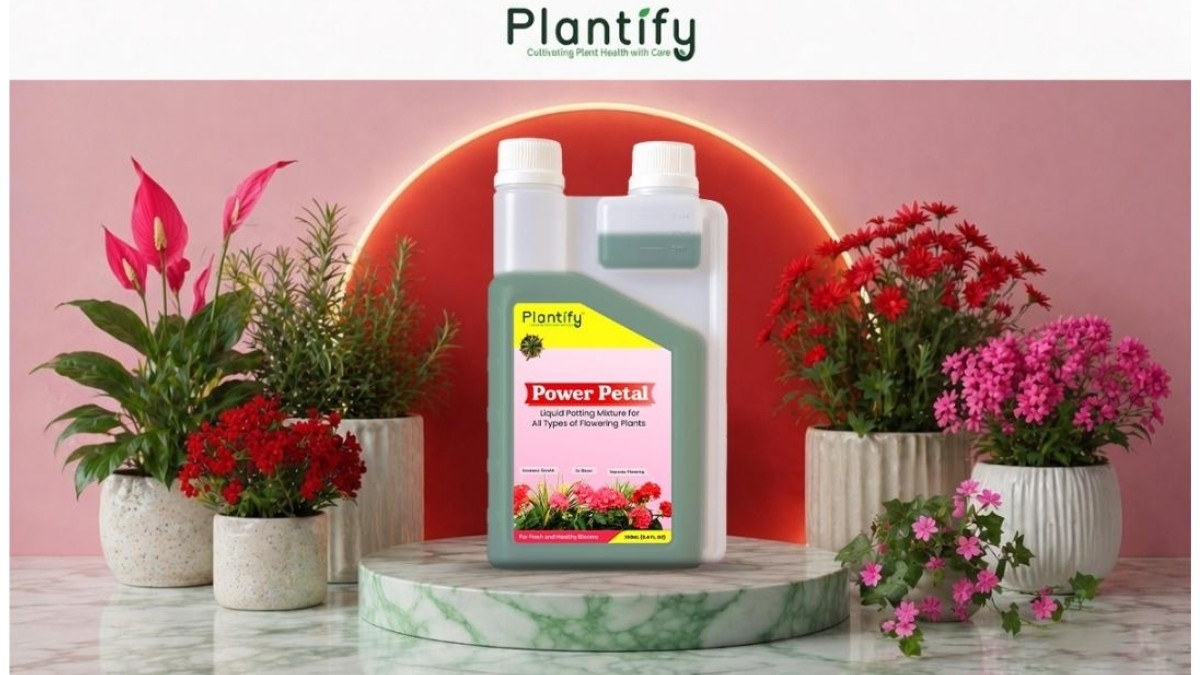 Top Benefits of Using Organic Liquid Potting Mixture for Home Gardening